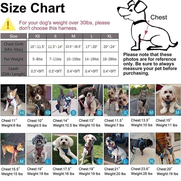 Dog Harness Step-in Breathable Puppy Cat Dog Vest Harnesses for Small Medium Dog - Picture 2 of 7